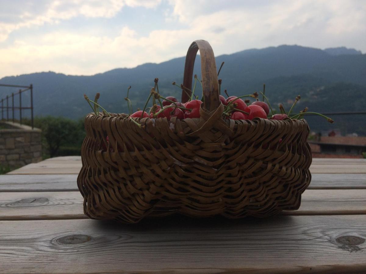 Casa Martina Βίλα Zogno Εξωτερικό φωτογραφία